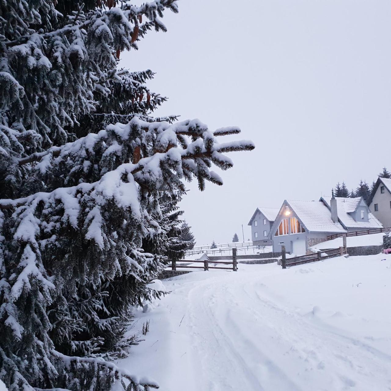 Home Belic Golija Radaljica Екстер'єр фото